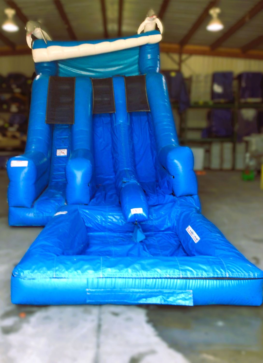Dolphin Waterslide